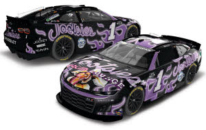 2025 Ross Chastain #1 Tootsies Orchid Lounge 1/24 Diecast