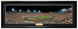 Flordia Seminoles 2014 BCS National Championship Game - Framed Panoramic