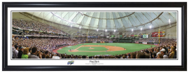 Tampa Bay Devil Rays / First Pitch Tropicana Field - Framed Panoramic