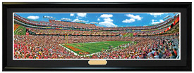 Washington Redskins / FedEx Field - NFL Framed Panoramic